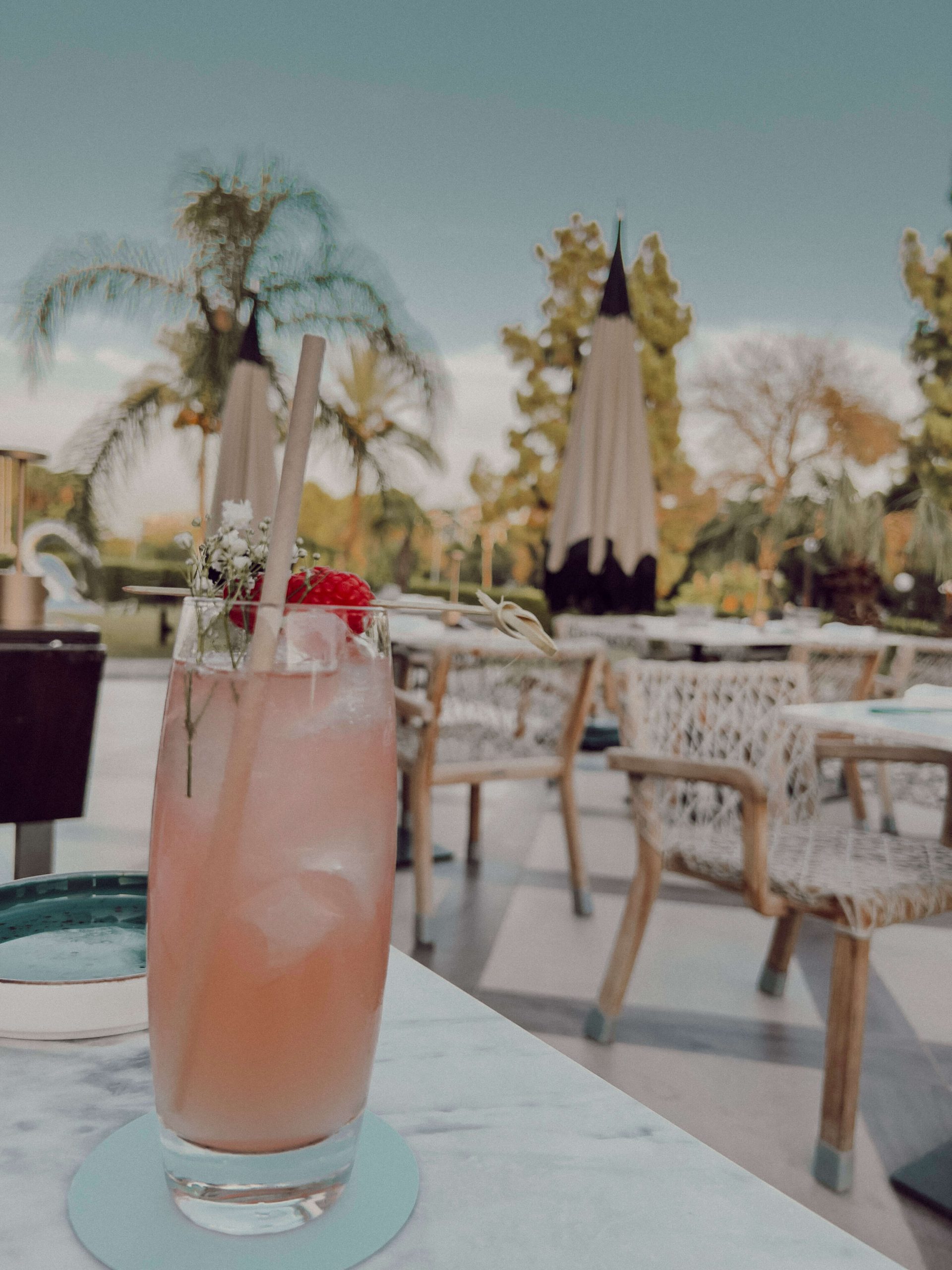 cocotravel travelbirds marbella 10 scaled