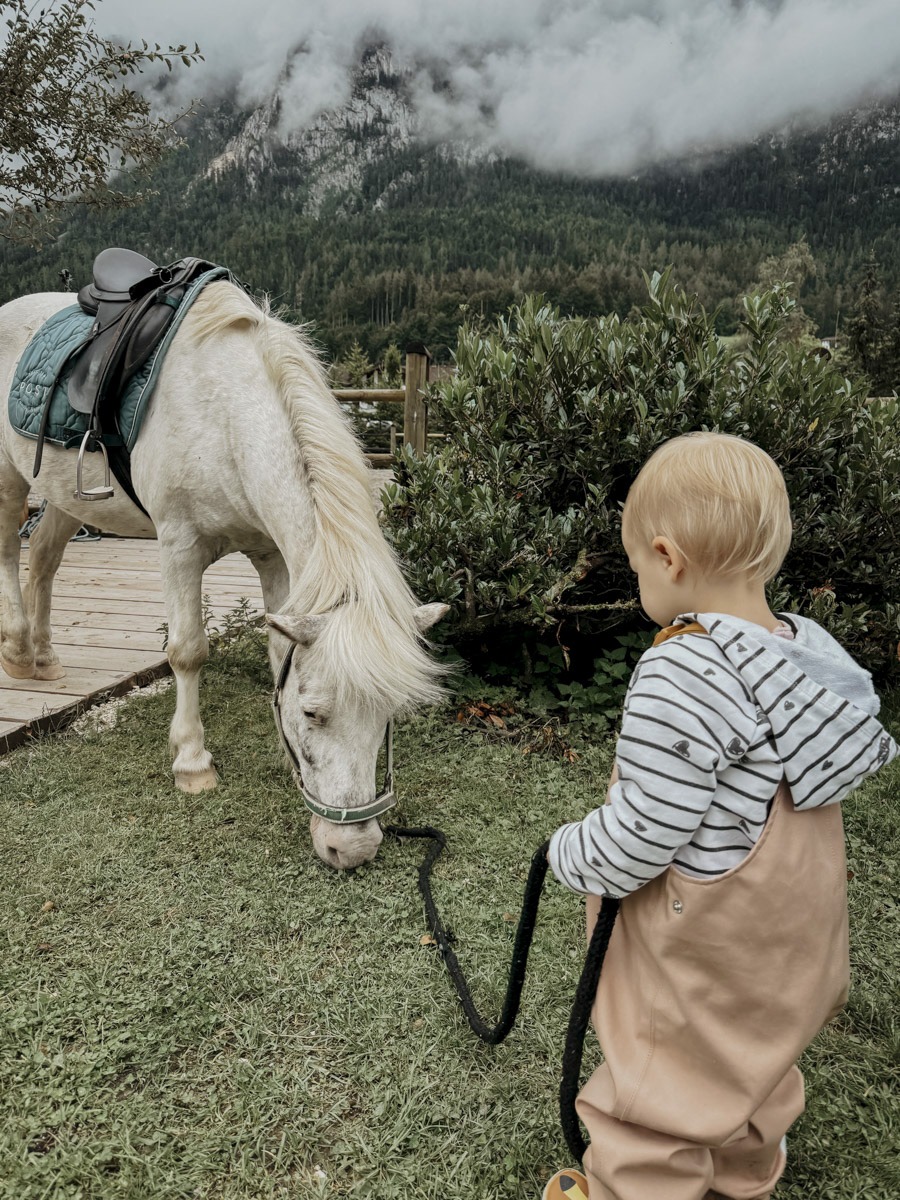 COCOtravel PostFamilyResort Ponyreiten COCOtravel PostFamilyResort Ponyreiten