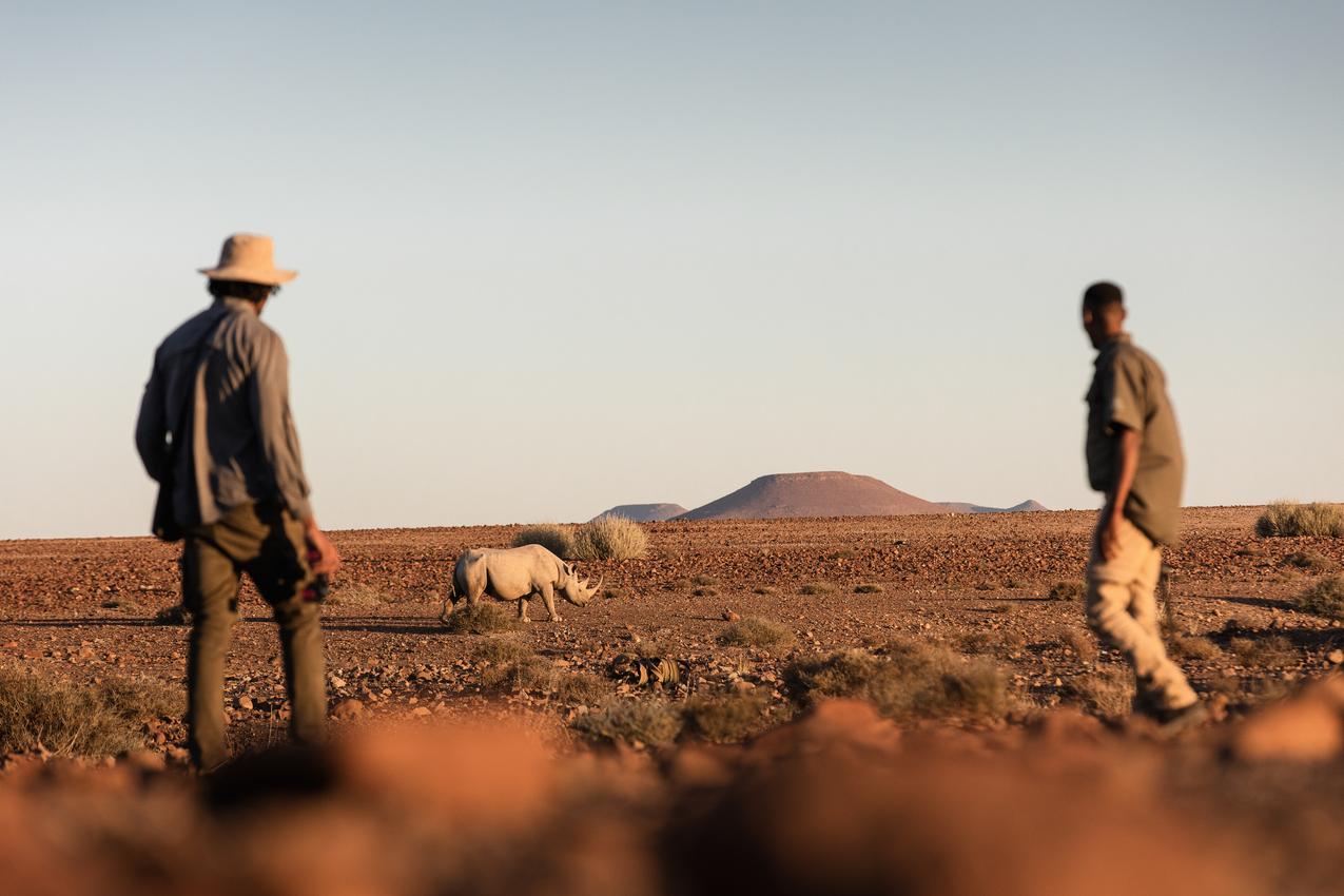 DesertRhinoCamp RhinoTracking 0724 TC 058 T