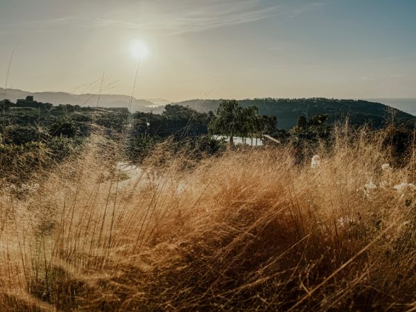 COCOtravel Adler Sizilien Landschaft