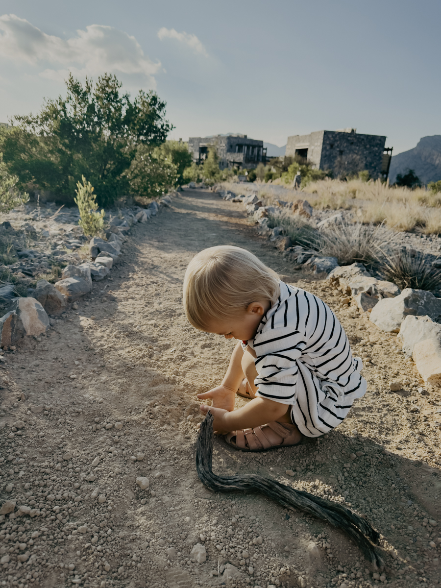 COCOtravel Oman Alila JabalAkhdar ButterflyWalk 2 COCOtravel Oman Alila JabalAkhdar ButterflyWalk 2