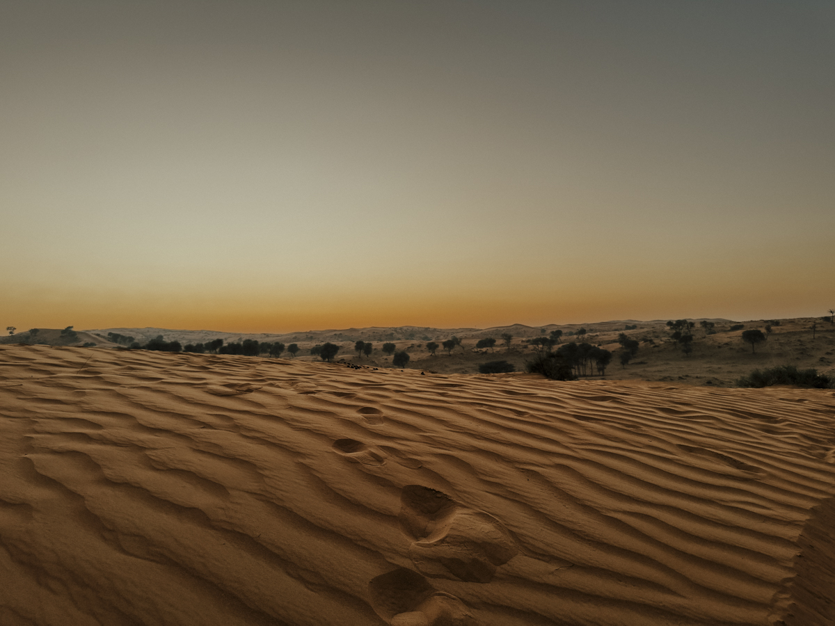 COCOtravel RAK RitzCarlton AlWadiDesert Wuestentour 9 COCOtravel RAK RitzCarlton AlWadiDesert Wuestentour 9