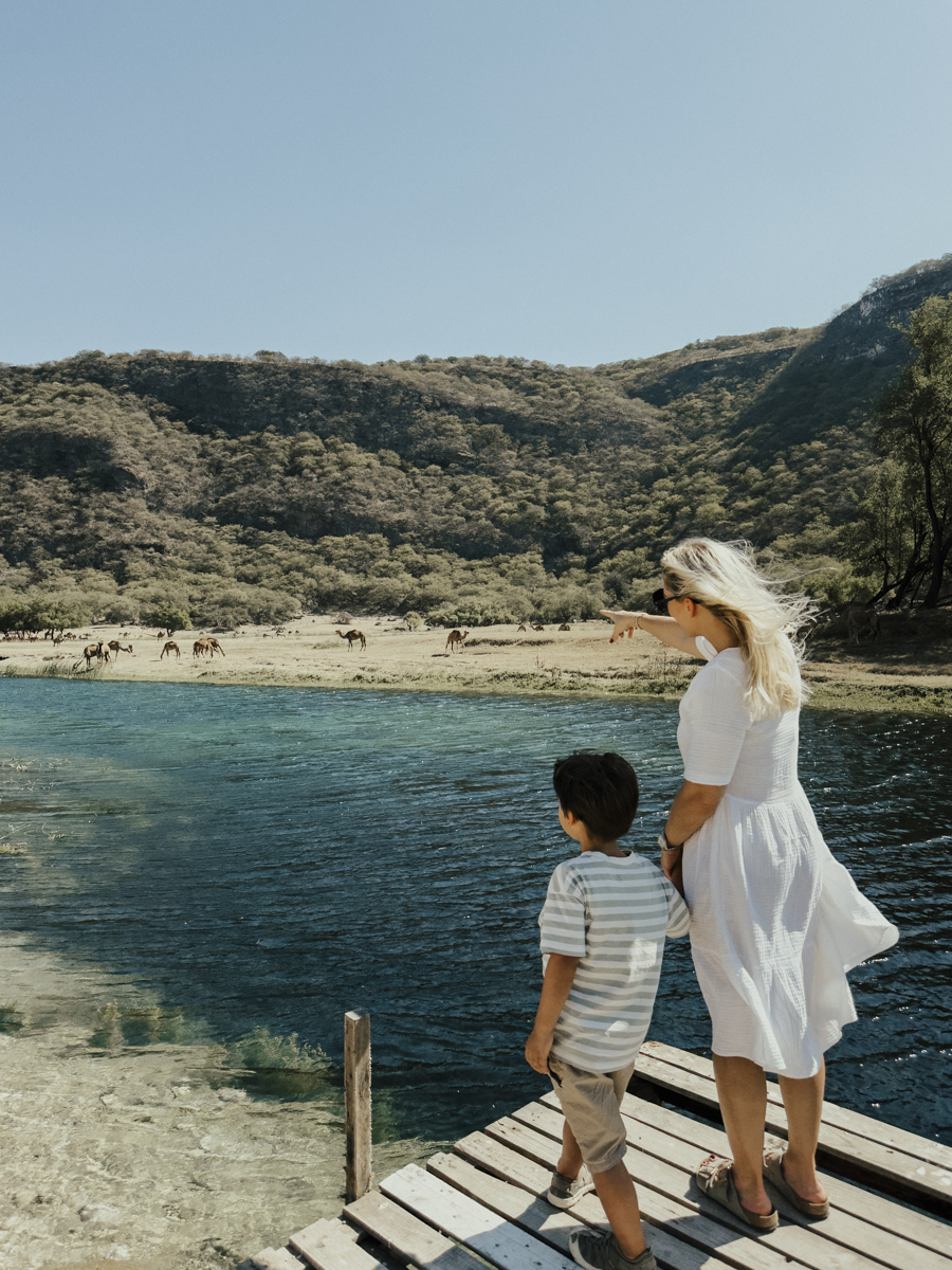 COCOtravel Oman AlilaHinuBay AusflugWadiDarbat 12