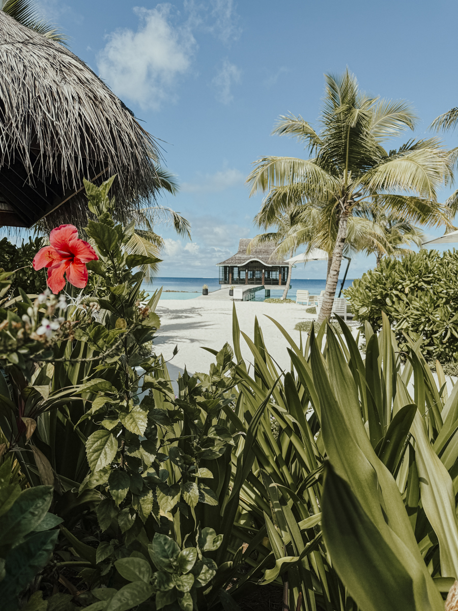 COCOtravel Malediven Nova 60 COCOtravel Malediven Nova 60