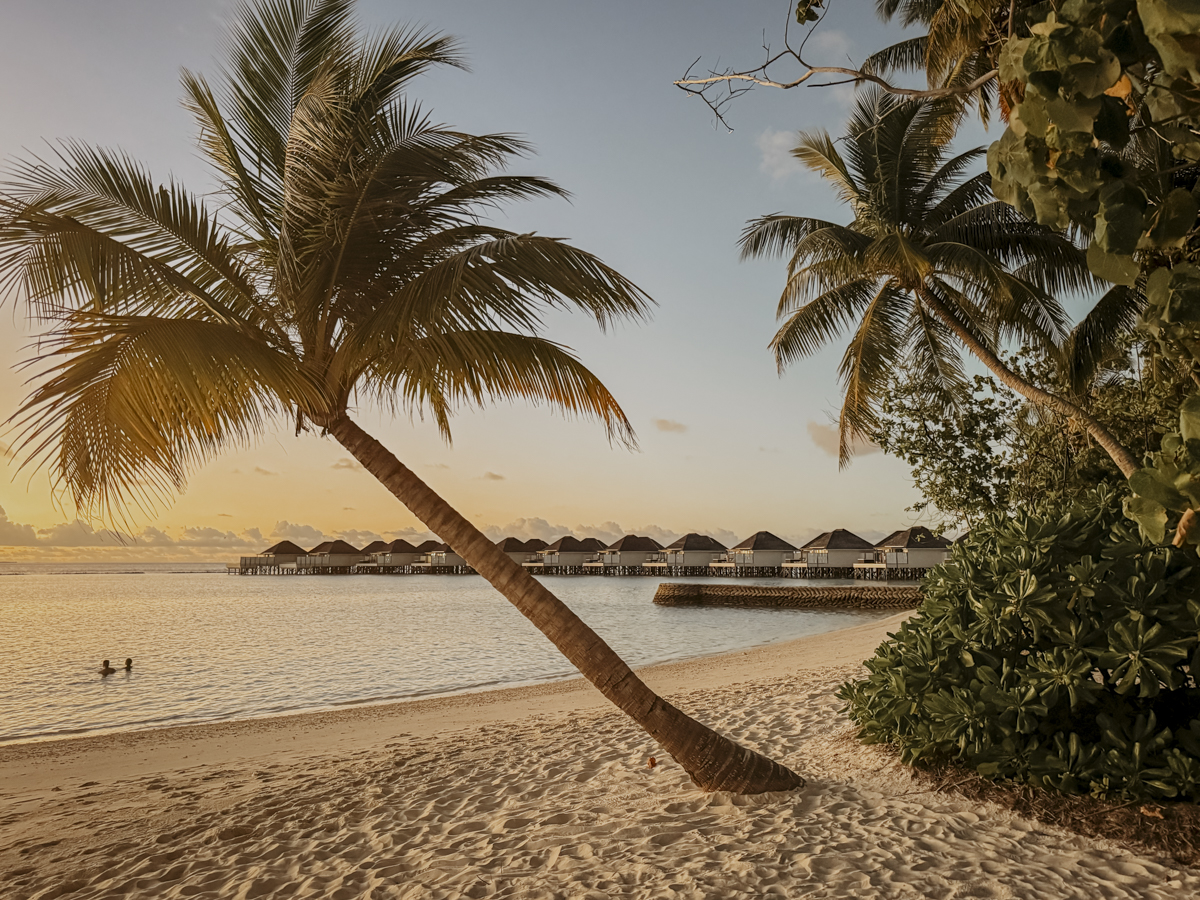 COCOtravel Malediven Nova 83 COCOtravel Malediven Nova 83