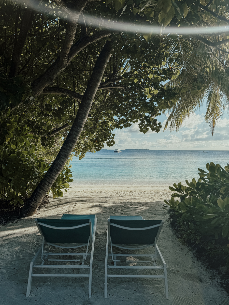 COCOtravel Malediven Nova BeachVilla Liegen 32 COCOtravel Malediven Nova BeachVilla Liegen 32