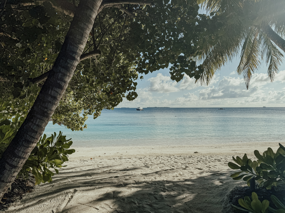 COCOtravel Malediven Nova BeachVilla Meerblick 33 COCOtravel Malediven Nova BeachVilla Meerblick 33