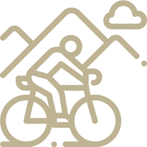 ikons cycling