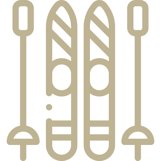 ikons skis