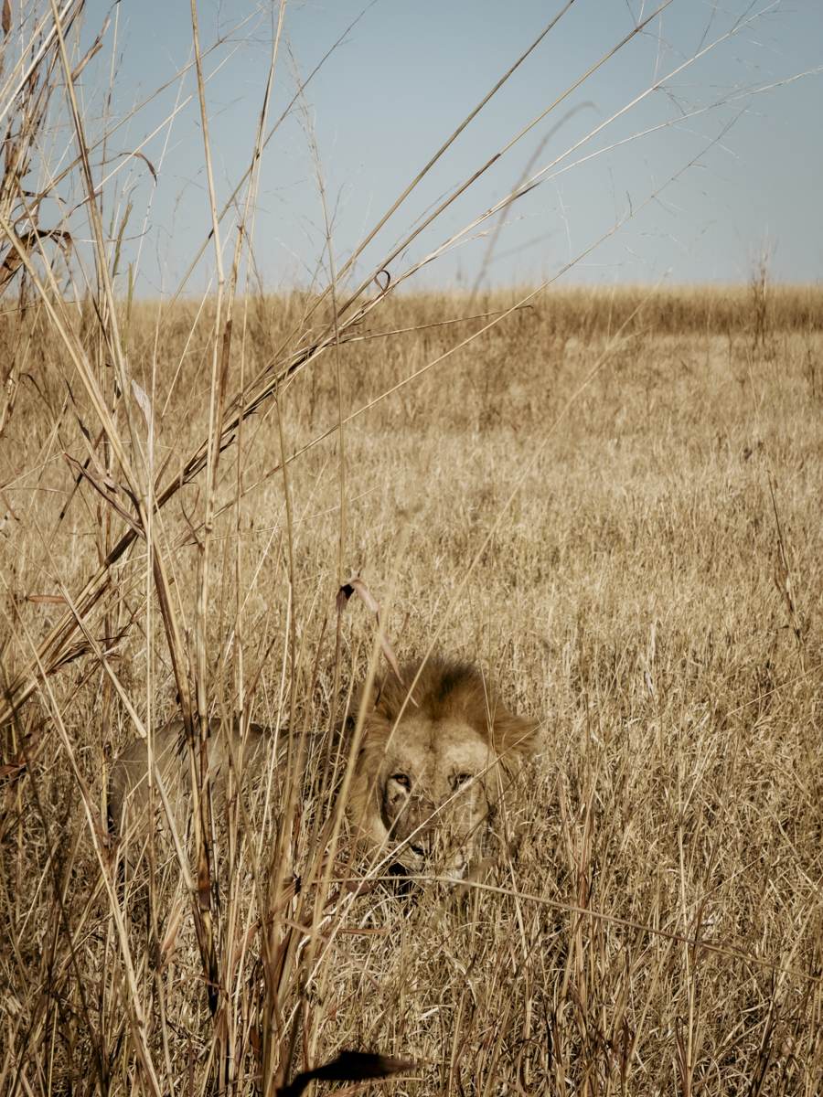 COCOtravel Afrika Wilderness Mokete