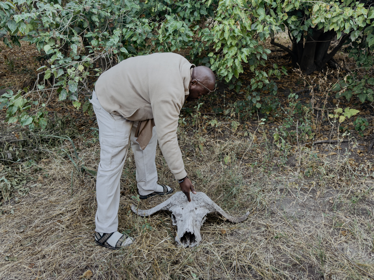 COCOtravel Afrika Wilderness Tubutree