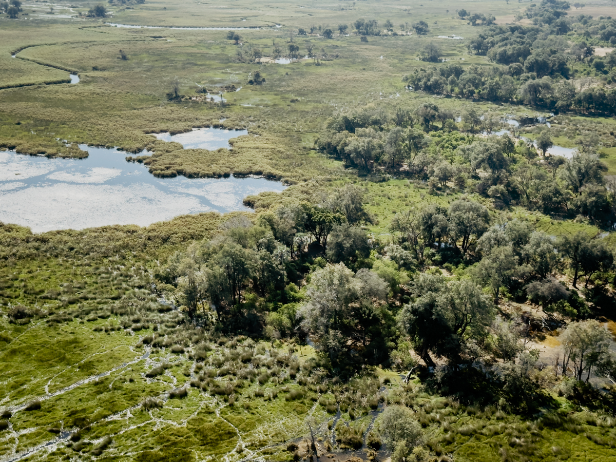 COCOtravel Afrika Wilderness Tubutree