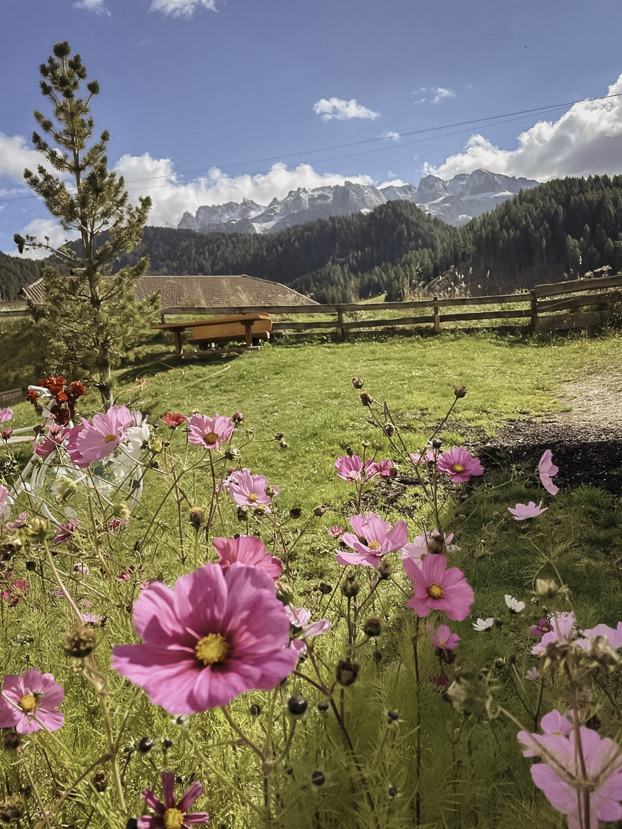 COCOtravel Granbaita Blumen COCOtravel Granbaita Blumen