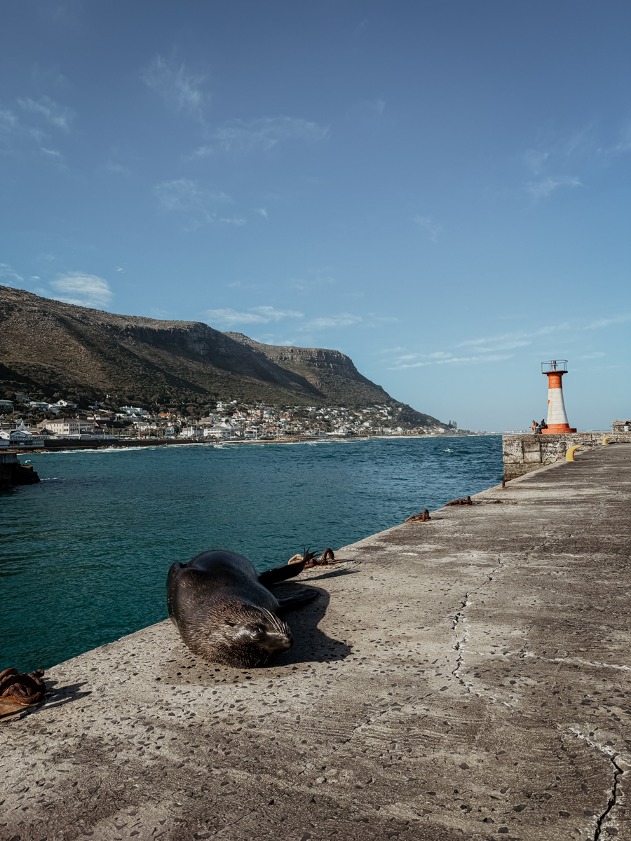 COCOtravel Suedafrika StJamesManorGuesthouse Kalkbay 17