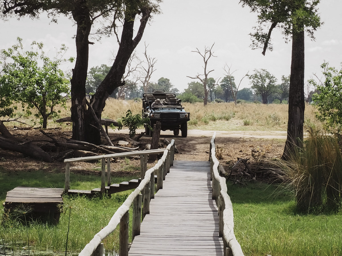 COCOtravel Botswana GreatPlains DubaExplorersCamp Safari GameDrive 1