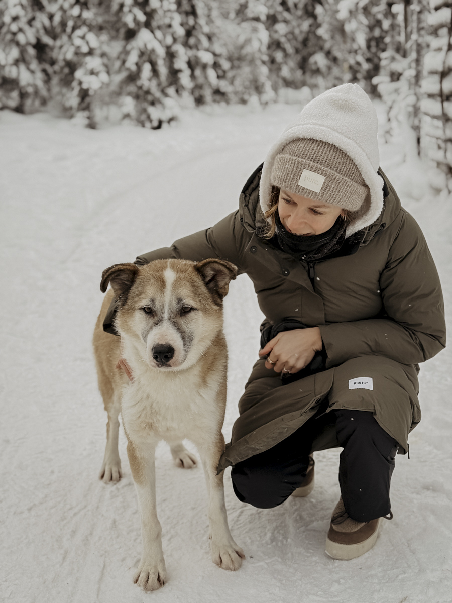 COCOtravel Lappland NovaSkylandHotel HuskyTour 15 COCOtravel Lappland NovaSkylandHotel HuskyTour 15