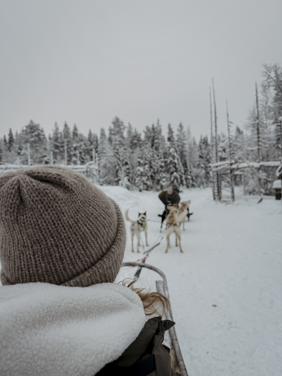 COCOtravel Lappland NovaSkylandHotel HuskyTour 3 COCOtravel Lappland NovaSkylandHotel HuskyTour 3