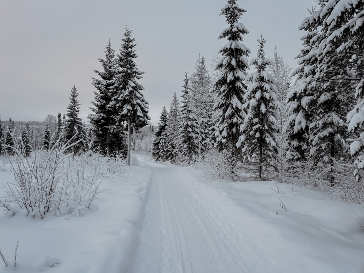 COCOtravel Lappland NovaSkylandHotel HuskyTour 32 COCOtravel Lappland NovaSkylandHotel HuskyTour 32