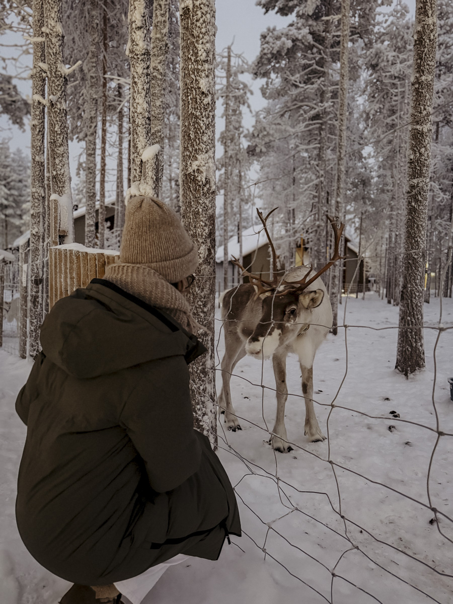COCOtravel Lappland NovaSkylandHotel Rentiere 2 COCOtravel Lappland NovaSkylandHotel Rentiere 2