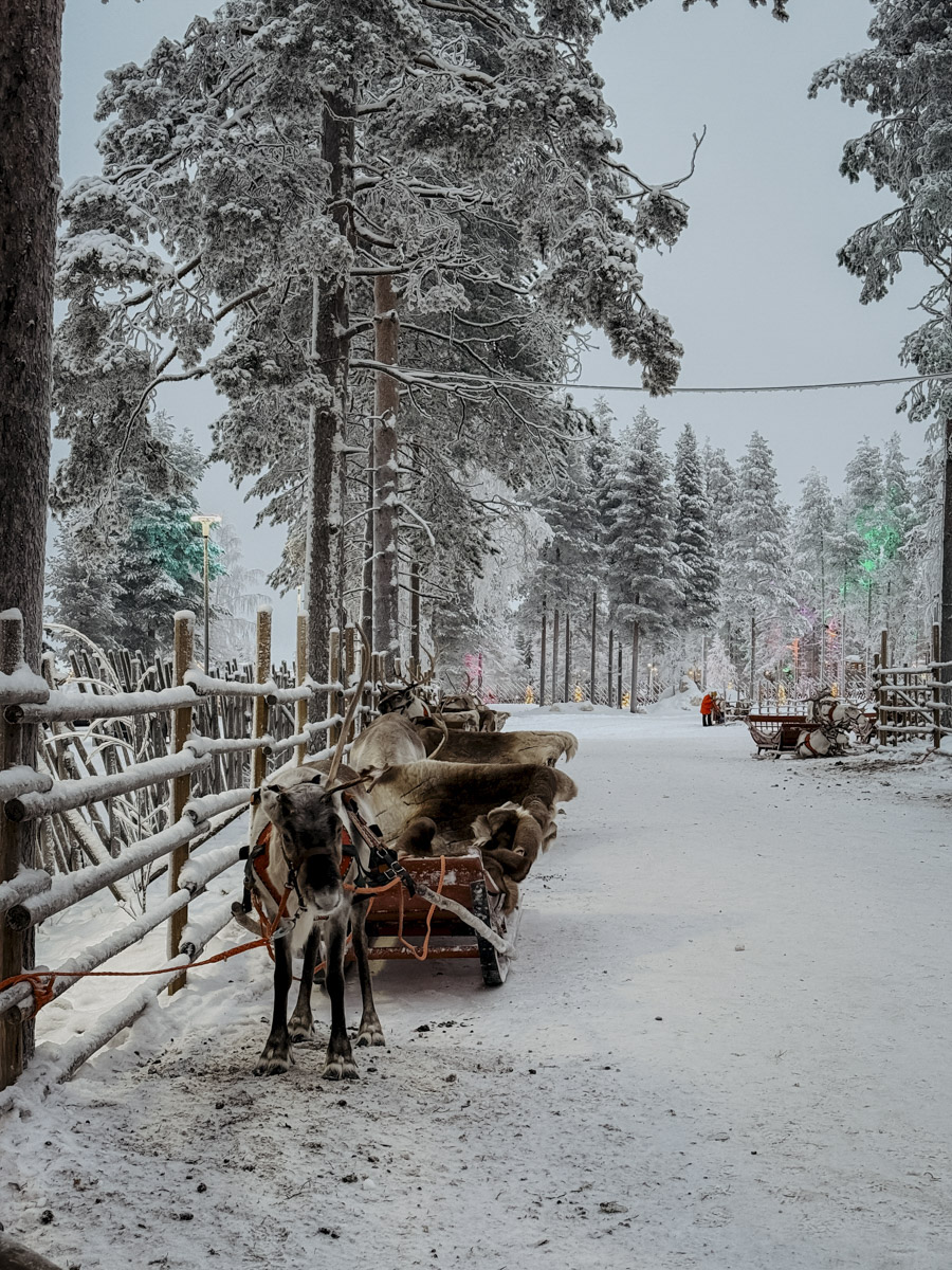 COCOtravel Lappland NovaSkylandHotel SantaVillage 18 COCOtravel Lappland NovaSkylandHotel SantaVillage 18