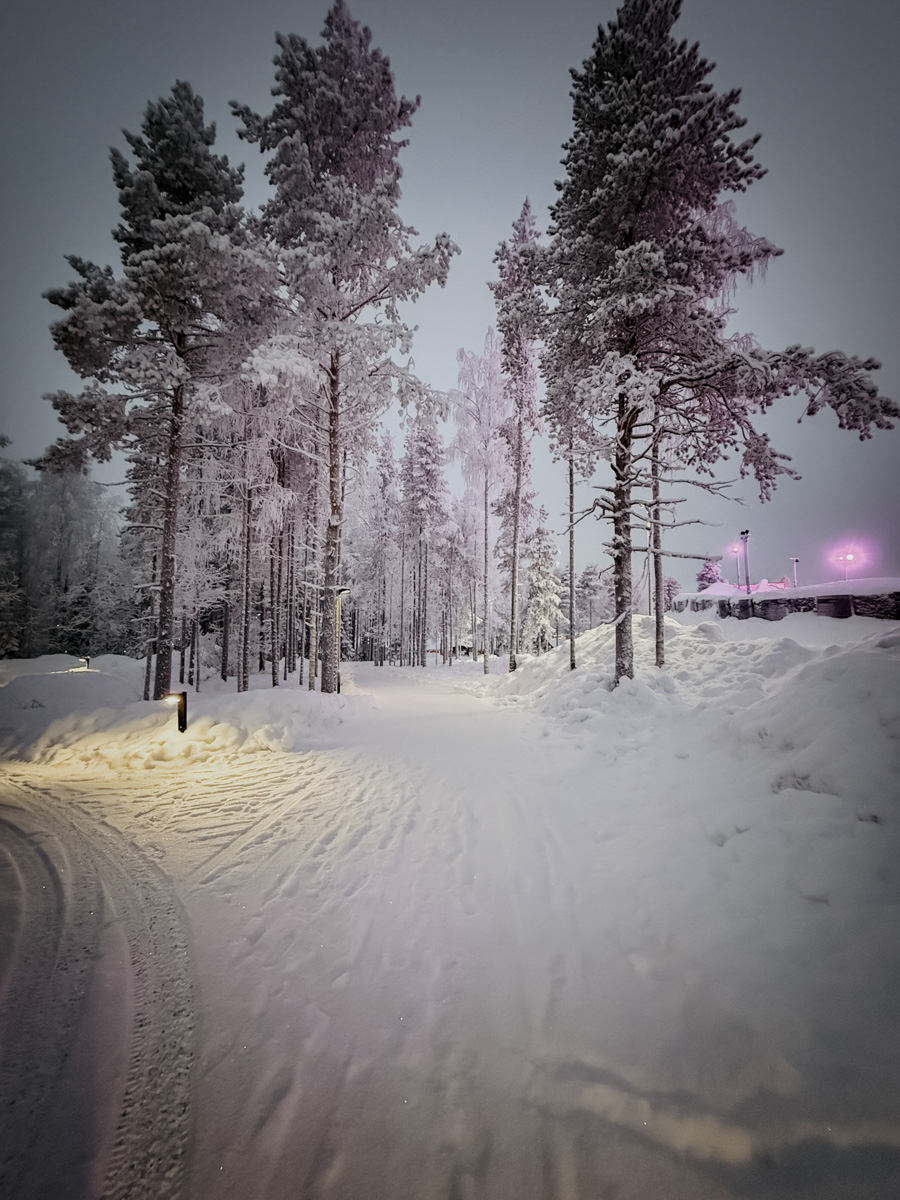 COCOtravel Lappland NovaSkylandHotel Winterwonderland 1 COCOtravel Lappland NovaSkylandHotel Winterwonderland 1