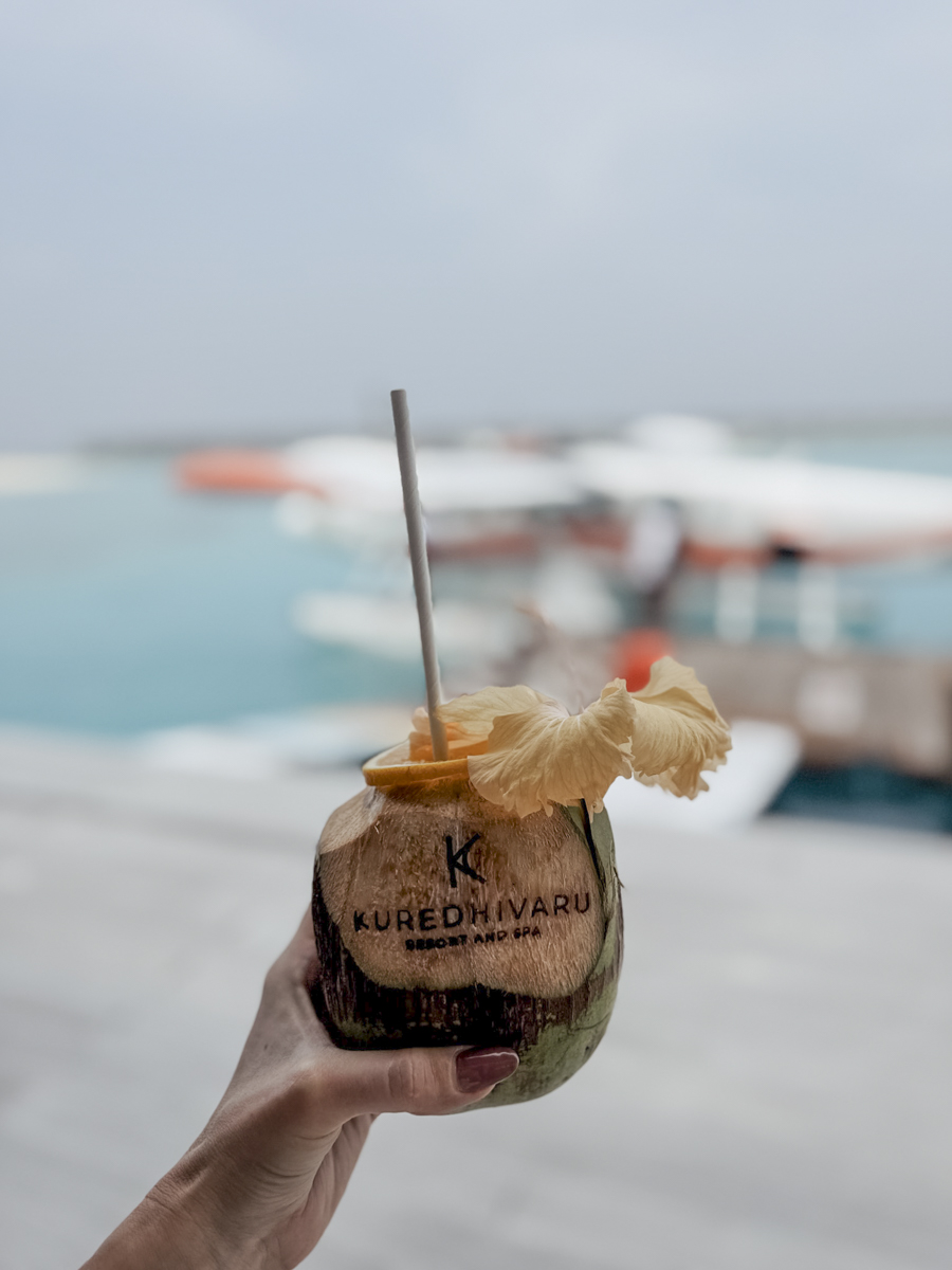 hoch allgemein Kokosnuss kuredhivaru malediven COCOtravel
