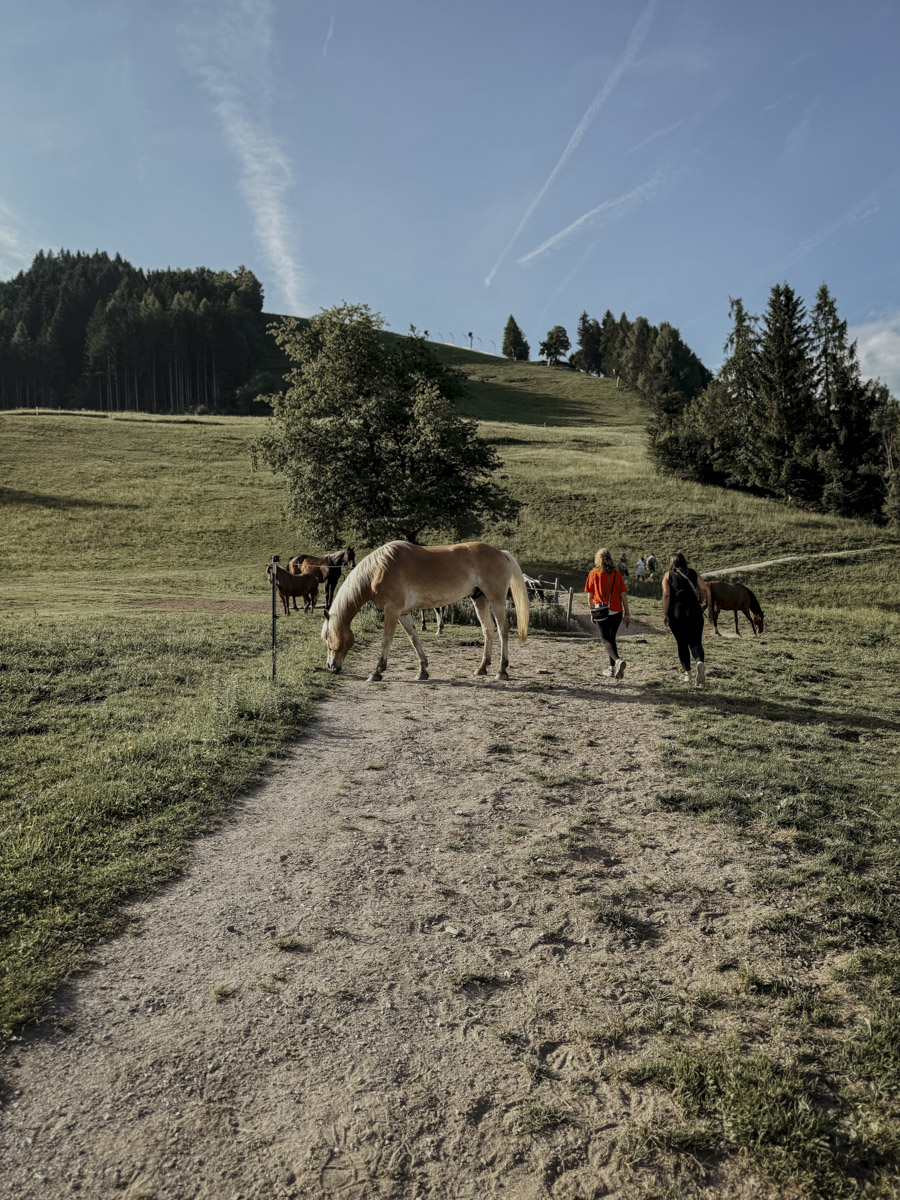 COCOtravel Oesterreich MariaAlm Wandern Natrun